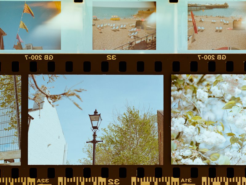 Image to Video preview
